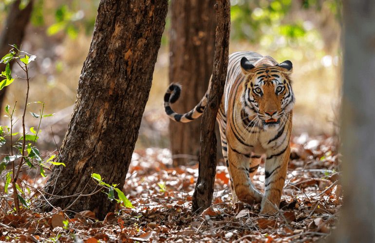 C0880ea0 0e87 11ee 9e94 25f17ea6acca