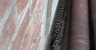 Screenshot 2025 12 12 18 47 06 31 7352322957d4404136654ef4adb64504