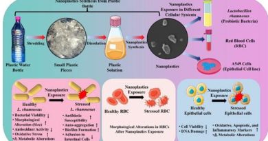 Screenshot 20251204 222135 1