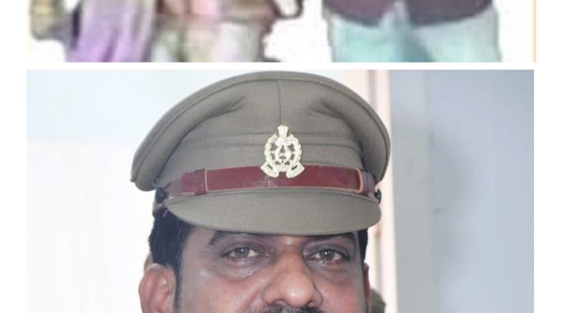 Gridart 20260215 194936568