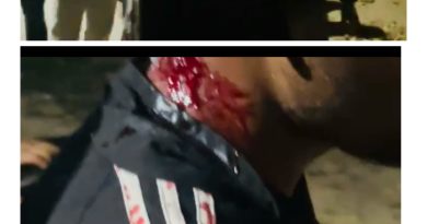 Gridart 20260216 132748056