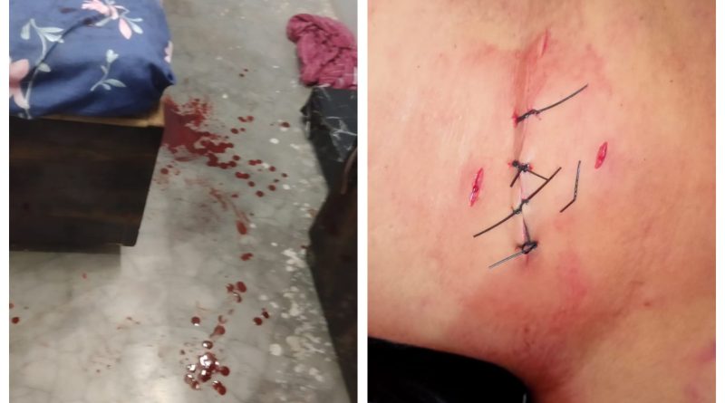 Gridart 20260321 134312576