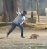 Screenshot 2026 03 13 16 00 51 85 6012fa4d4ddec268fc5c7112cbb265e7