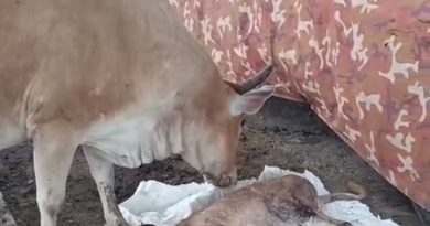 Screenshot 2026 03 22 14 25 19 02 6012fa4d4ddec268fc5c7112cbb265e7