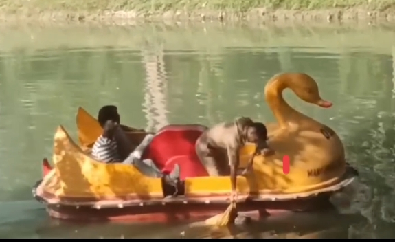 Screenshot 2026 03 25 14 06 04 43 6012fa4d4ddec268fc5c7112cbb265e7