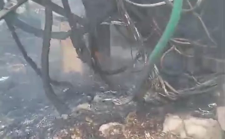 Screenshot 2026 04 21 17 54 55 84 7352322957d4404136654ef4adb64504