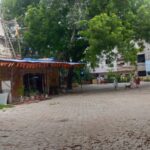 Img 20260805 wa0001
